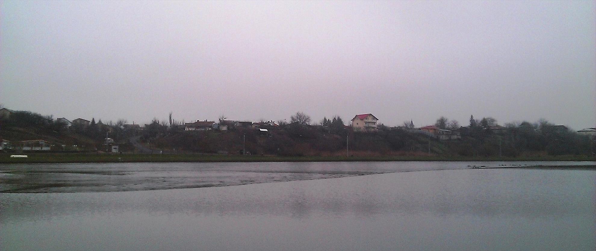 Floarea Popestiului 30 - 30 dec. - wp20131230020.jpg